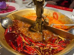 -小龙翻大江文化火锅(宽窄店)