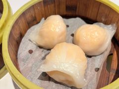 -东方早茶 海鲜•青岛菜(国信体育中心店)