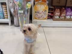 -悦宠凯宝动物医院·牙科·皮肤科(朝阳北路店)
