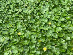-大连植物园