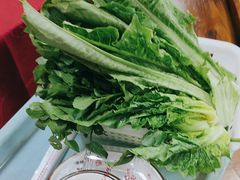-麻奢鸽农庄·梦里水乡