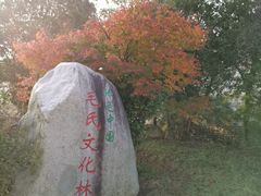 -清漾毛氏文化村