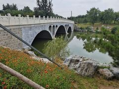 -马家湾湿地公园