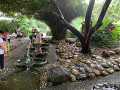 -成都市活水公园