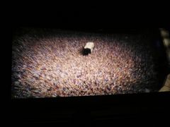 -天幕新彩云国际影城(激光巨幕店)