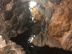 -城崎温泉 外七汤