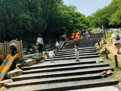 -杭州少年儿童公园