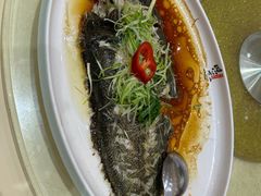 清蒸龙利鱼-联邦酒楼