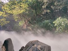 -北京西山国家森林公园