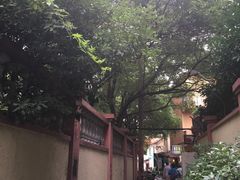 -嘉善老市