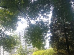 -国华商场