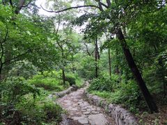 -阳台山自然风景区