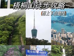 -梧桐山风景名胜区