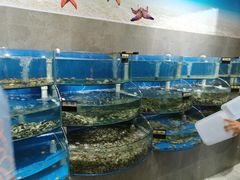 水产区-蓝珊甄选海鲜自助·火锅大排档(近阿那亚店)
