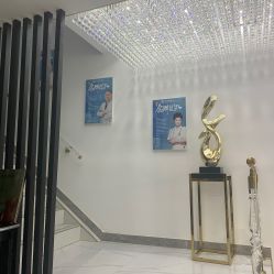 -北京丽星翼美医疗美容