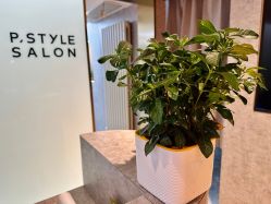 -P.STYLE 派斯造型
