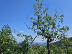 -香山公园