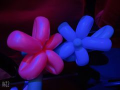 -郑州方特梦幻王国