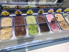 -Glacio Dessert Chef