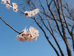-三里河公园