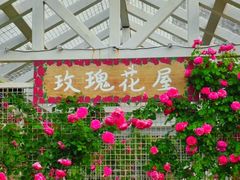 -太阳宫公园