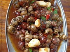 -广宁炭炉鸡煲·富临门饭店