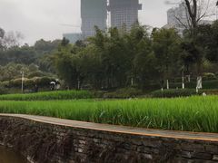 -龙头寺公园