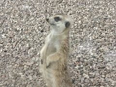 -贵州森林野生动物园