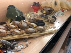 -喜上喜鸡煲翅(吉大店)