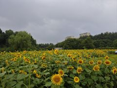 -长春公园(普阳街道)