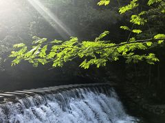 -石台牯牛降景区