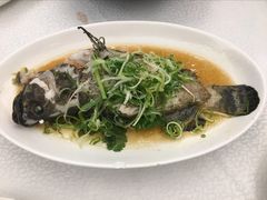 清蒸沙巴龍躉斑-海港荟(大埔新达店)