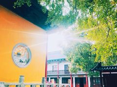 -上海青龙寺