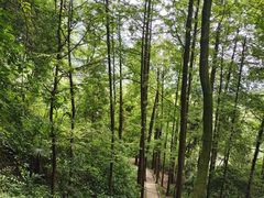 -青城山