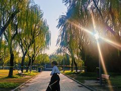 -上海大学(宝山校区)