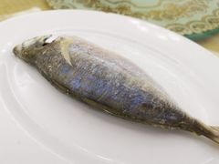 巴浪鱼饭-天天海鲜城·海鲜大排档(新溪店)