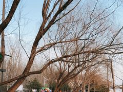 -马家湾湿地公园