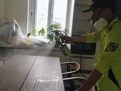 -绿色亿家除甲醛机构