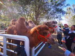 -长白岛森林公园