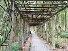 iphone_upload_pic-彩虹桥