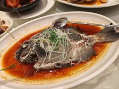 -大东海海鲜酒楼(渔人码头总店)