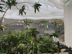 -大树餐厅(朝阳大悦城店)