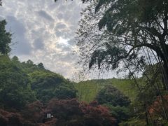 -岳麓山风景名胜区