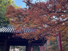 -醍醐寺