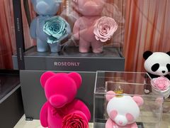 -ROSEONLY诺誓(磐基中心店)