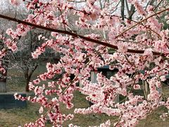 -安定门(地铁站)