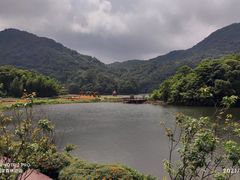 -广州市石门国家森林公园