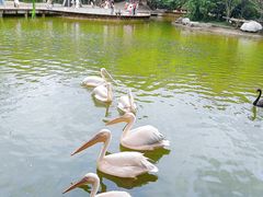 -成都动物园