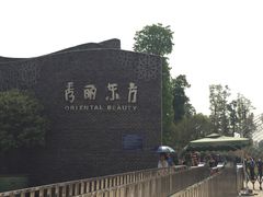 -秀丽东方