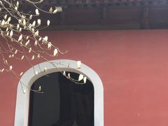 -普陀山风景名胜区-法雨禅寺